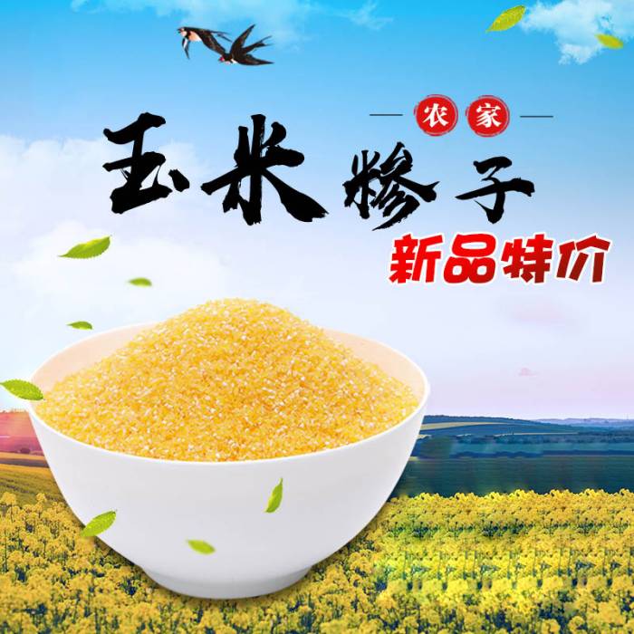 田脊梁 杂粮组合 2500g(4小米（500g*4）+1玉米糁（500g）)